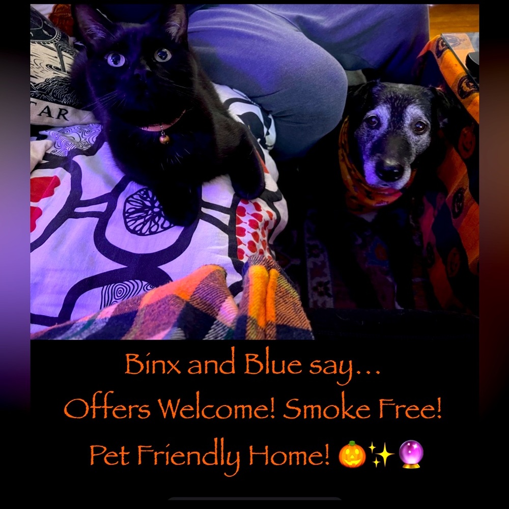 Offers Welcome!!!✨🎃🔮🎉🛸🌌
